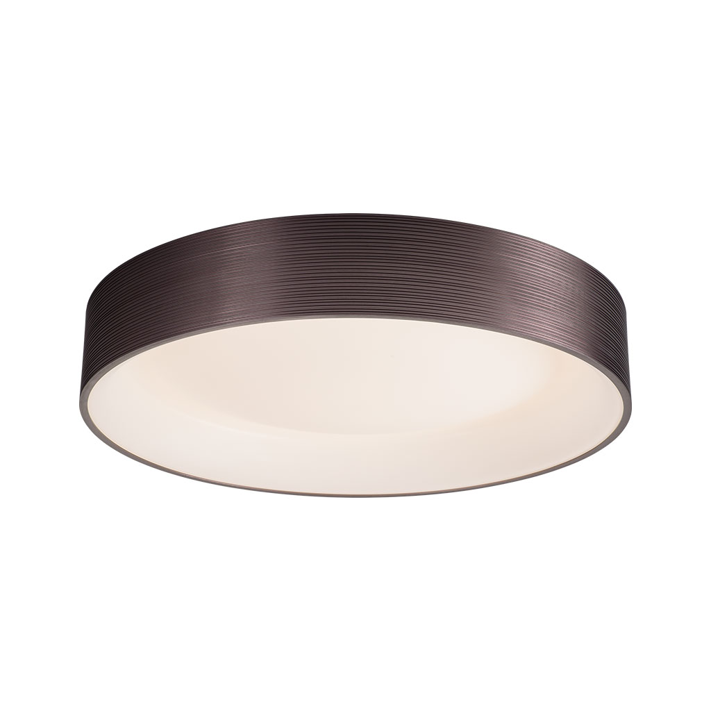 Ceiling Ligth